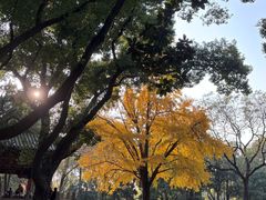 -汇龙潭