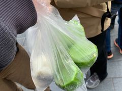 -沈大成(城隍庙店)