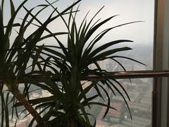 -天塔旋转餐厅