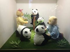 -成都泰迪熊博物馆