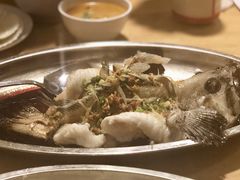 老虎斑-ZF Seafood Restaurant 卓峰海鲜餐