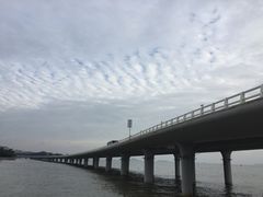 -演武大桥观景平台