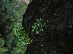 -雁荡山风景名胜区