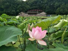 -古田会议纪念馆