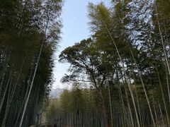 -黄公望隐居地
