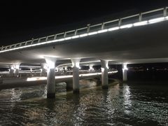 -演武大桥观景平台