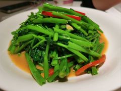 -炆艺乳鸽·煲仔饭大排档(望京来广营店)