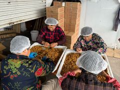 -苏州市吴中区光福窑上花果蜜饯厂