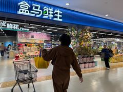 -盒马鲜生(宝地店)