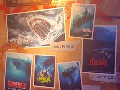 -海合安武汉极地海洋公园