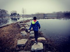 -大兴滨河森林公园