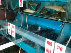 水产区-高坎一品甲鱼庄(两河店)