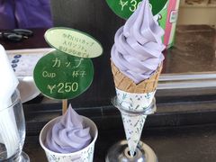 -富田农场