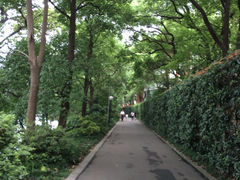 iphone_upload_pic-湖南烈士公园(芙蓉区)