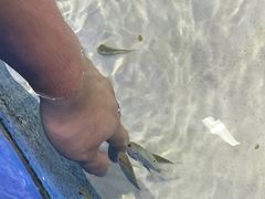 -顺德南宏海立方海洋公园