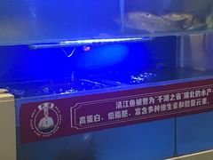 -集草轩·重庆麻辣烤鱼(西湖道店)