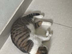 -極屋鮨牛 · 烧肉酒场(时代C馆店)