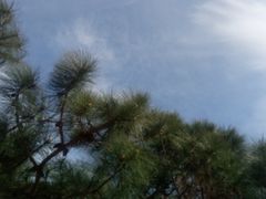 -彩色沙林风景区