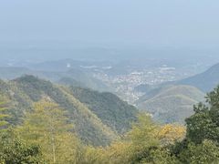 -莫干山风景区