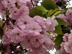 -首开·龙湖成都西宸天街