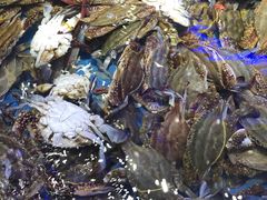 -澜悦港海鲜体验主题餐厅