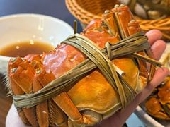 -蟹村草堂·苏式园林人文农家·大闸蟹