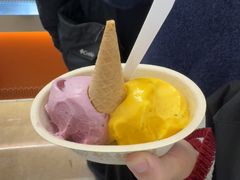 -极拉图·现制冰淇淋(大卫城店)