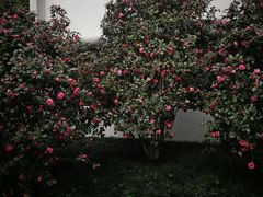 -广东温泉宾馆