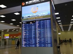 -谢列梅捷沃国际机场