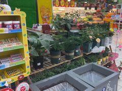 -大润发(张江店)