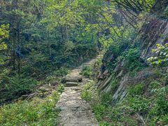 -素山寺森林公园