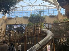 -杭州开元森泊度假乐园