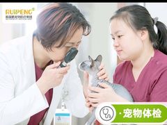 -美联众合动物医院·24h京西诊疗中心