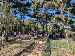 -北京西山国家森林公园