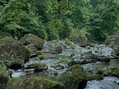 -龙苍沟森林公园
