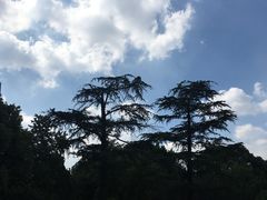 -玉山公园
