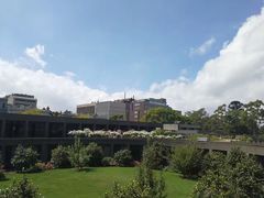 -墨尔本皇家植物园