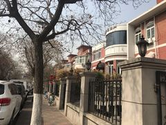 -天津五大道文化旅游区