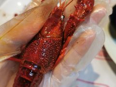 -靓靓蒸虾·头牌蒸虾(南山桂庙店)