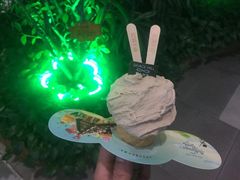 -野人先生现做冰淇淋(西安赛格店)