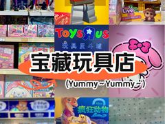 -TOYSRUS玩具反斗城(深圳布吉万象汇店)