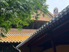 -普陀山风景名胜区-法雨禅寺