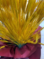 -六福珠寶(苏州人民商场店)