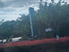 -九里河湿地公园