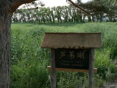 -北药泉