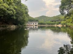 -天怡·鱼工厂(梅溪湖店)