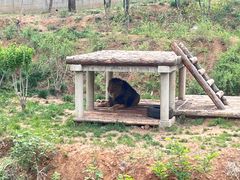 -石家庄市动物园