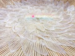 -天正河鲀·河豚亭(大连店)