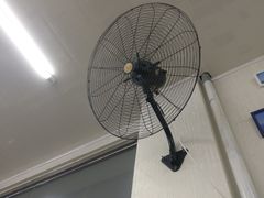 -烁佳海鲜大馅饺子