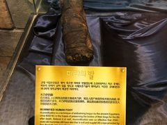 -信不信由你博物馆